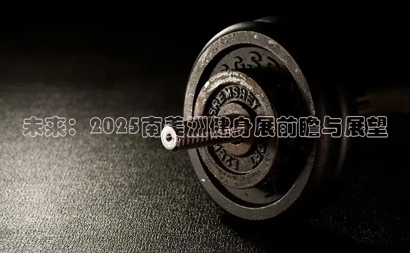 天生赢家凯发一触即发小说